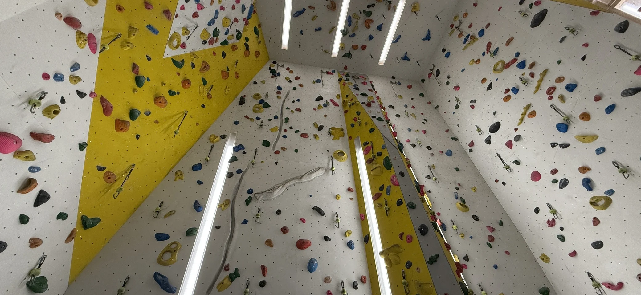 © Markus Bienecker, BG Kirchheim