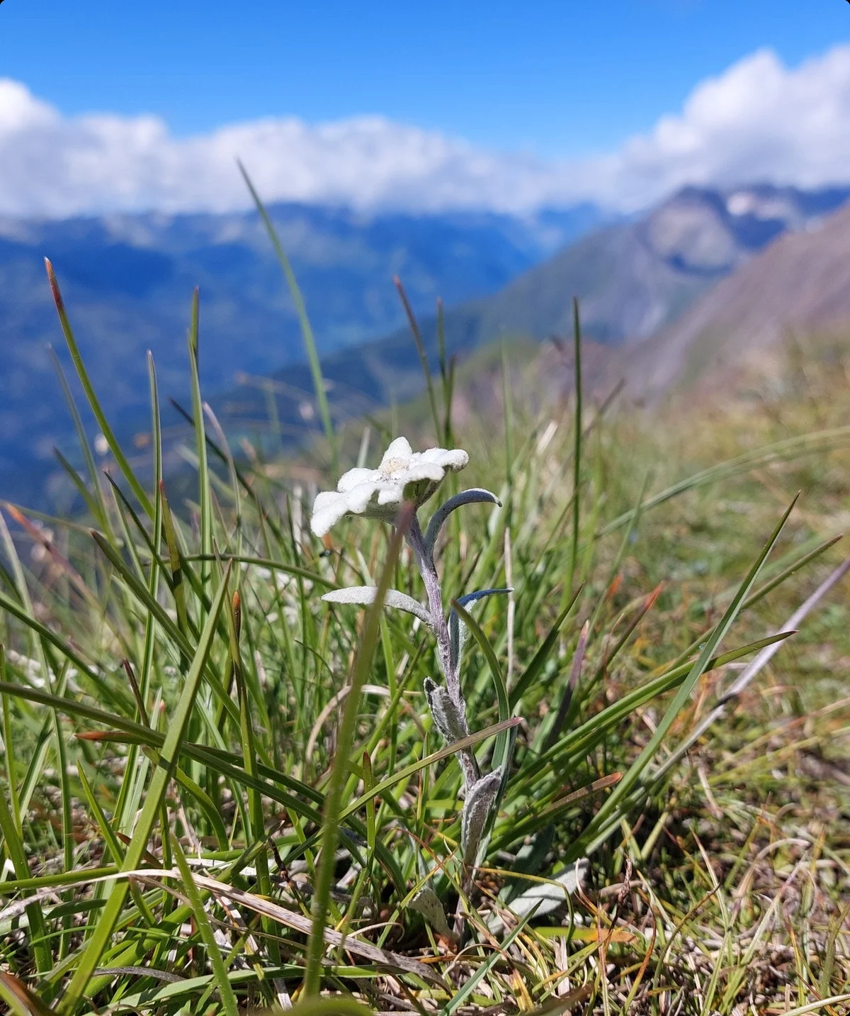 © DAV Sektion Schwaben