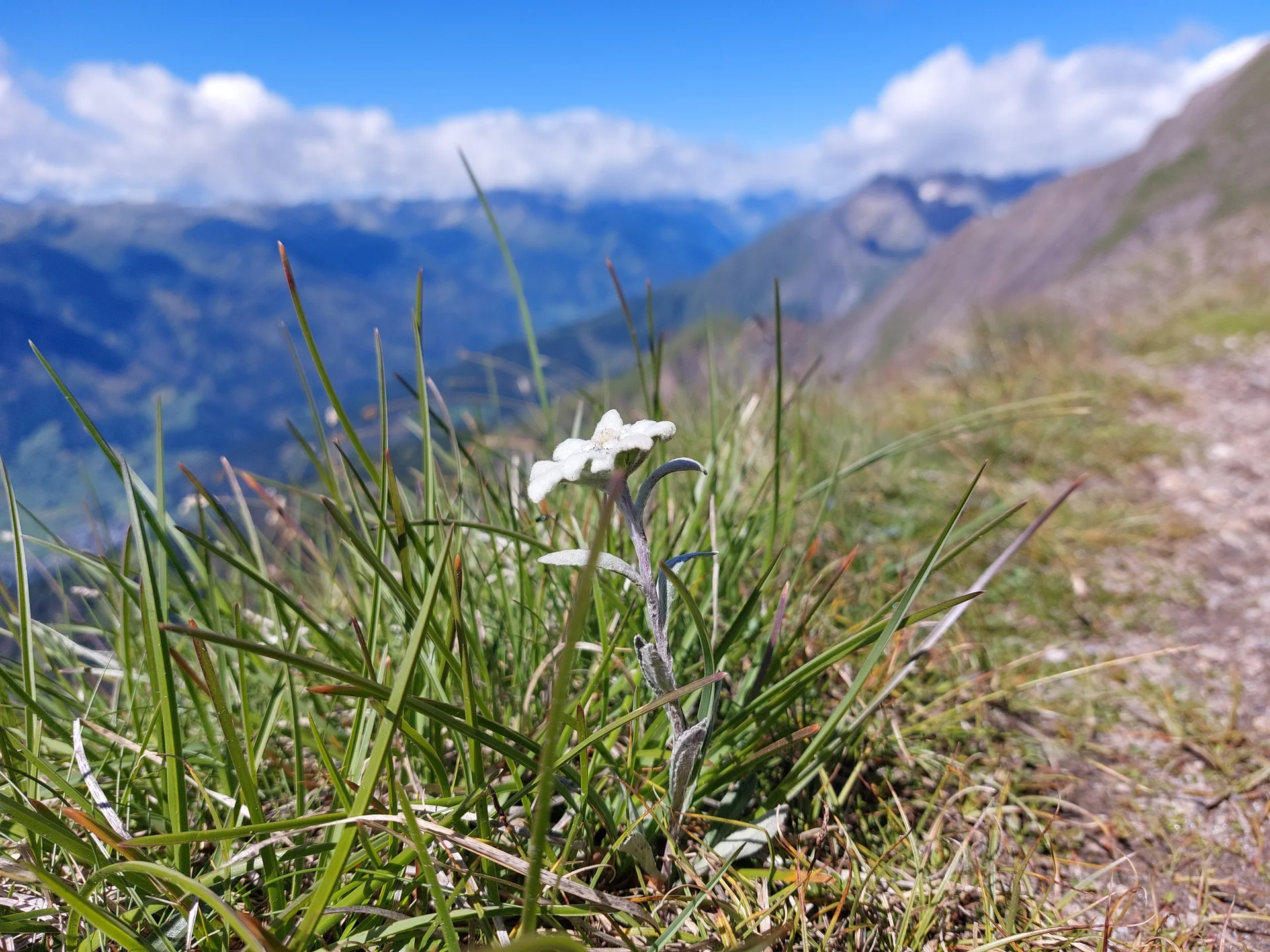 © DAV Sektion Schwaben