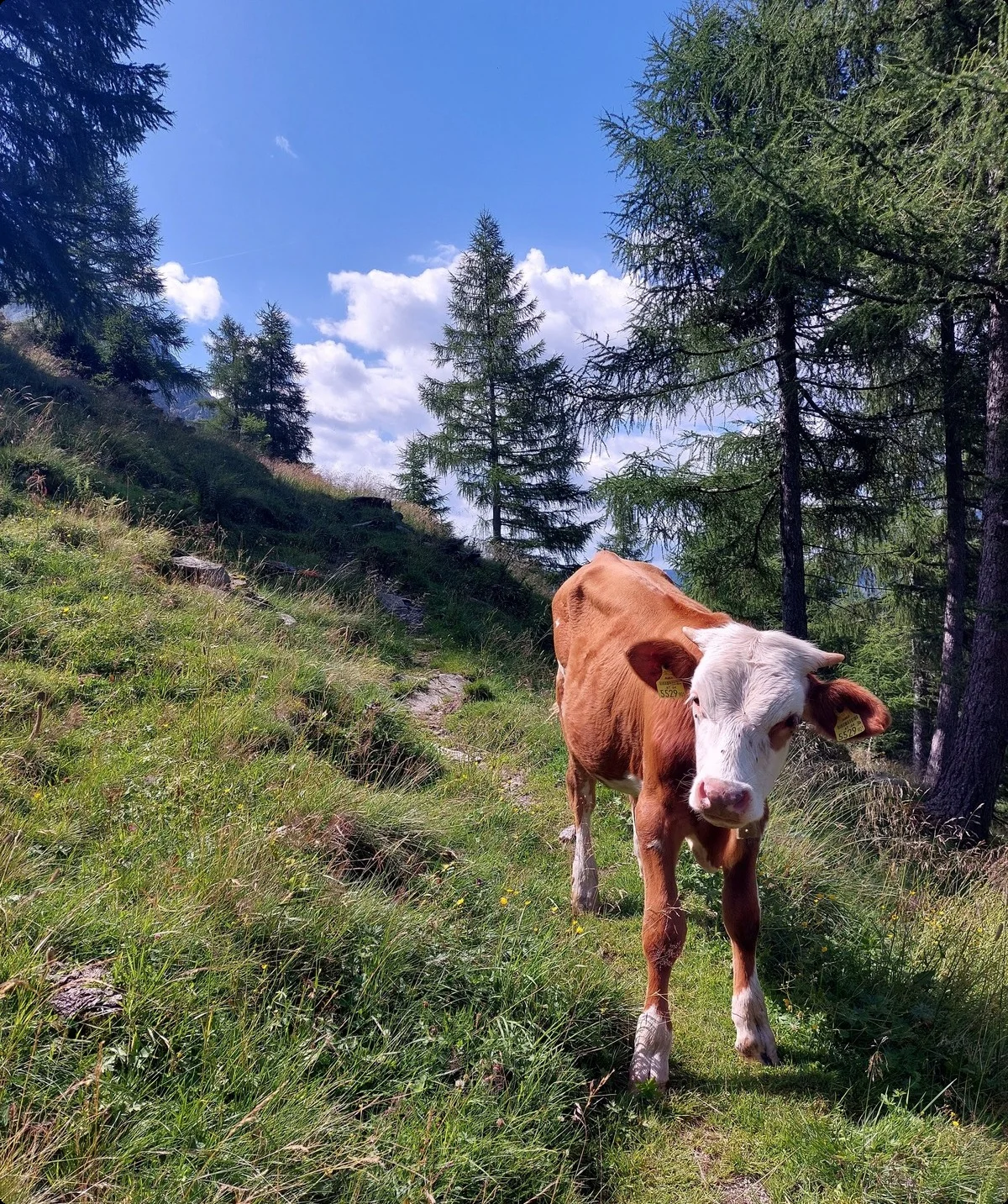 © DAV Sektion Schwaben