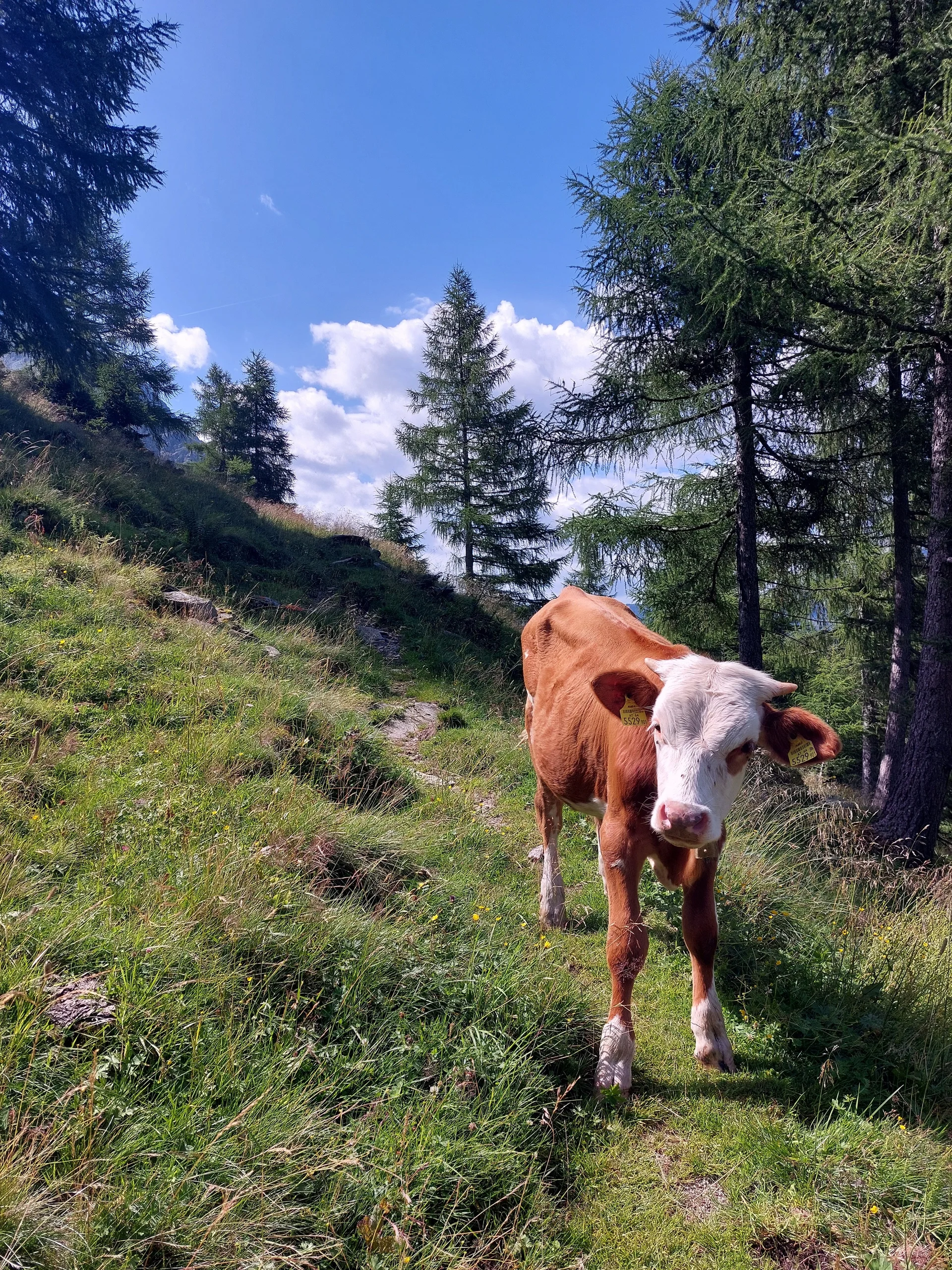 © DAV Sektion Schwaben