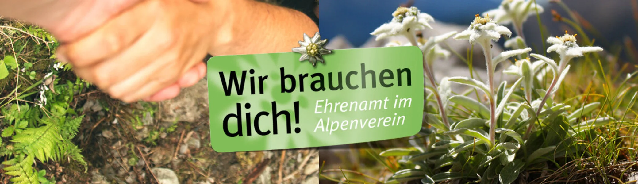 Bildmotiv "Ehrenamt: Wir brauchen Dich" - Imagefoto | © DAV